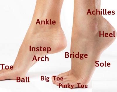 heels in tagalog|Foot Meaning .
